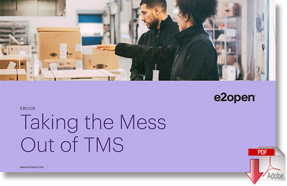Download Taking the Mess Out of Transportation Management Systems