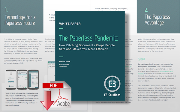 Download The Paperless Pandemic: How Ditching Documents Keeps People Safe and Makes You More Efficient