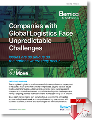 Download the White Paper “Companies with Global Logistics Face Unpredictable Challenges”