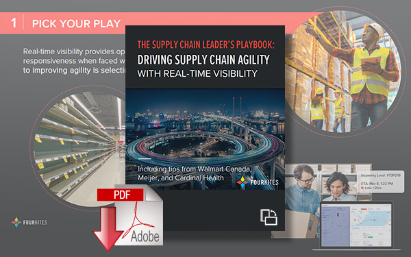 Download Driving Supply Chain Agility with Real-Time Visibility