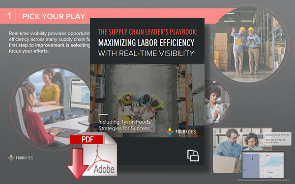 Download Maximizing Labor Efficiency with Real-Time Visibility