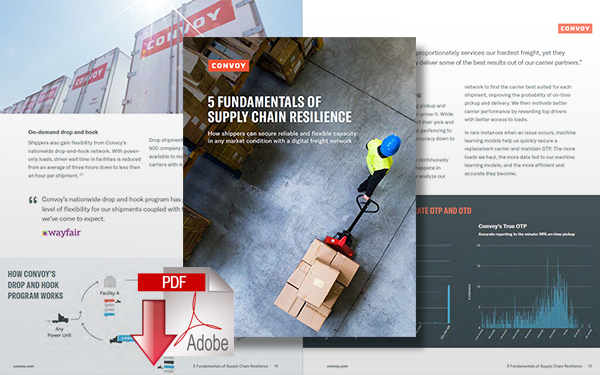 Download 5 Fundamentals of Supply Chain Resilience
