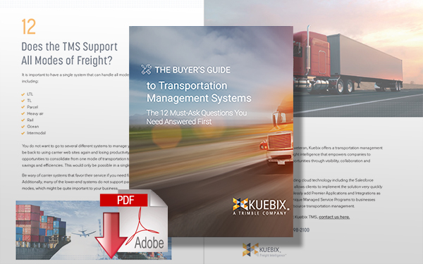 Download The Buyer’s Guide to Transportation Management Systems