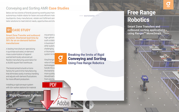 Download TBreaking the Limits of Rigid Conveying and Sorting Using Free Range Robotics