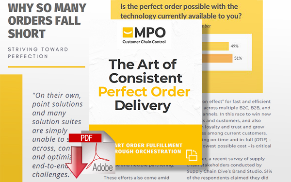 Download The Art of Consistent Perfect Order Delivery