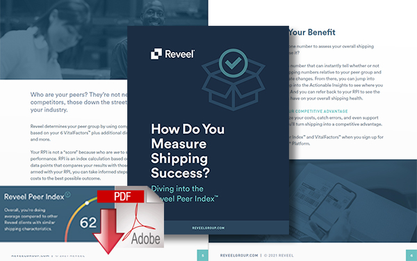 Download How Do You Measure Shipping Success