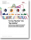 Download Turning “Big Data” Into “Big Visibility”