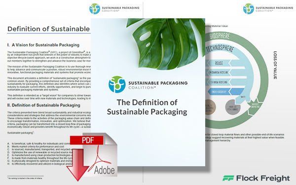 Download Paper: The Definition of Sustainable Packaging
