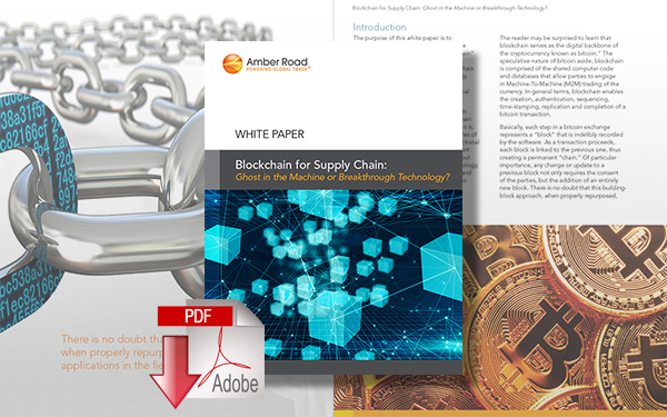 Download Blockchain for Supply Chain: Ghost in the Machine or Breakthrough Technology?