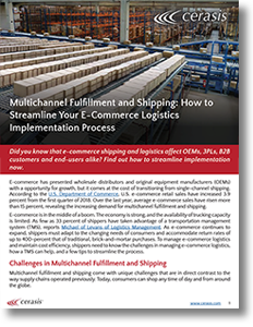 Download Omnichannel Logistics Leaders: Top 5 Inventory Insights