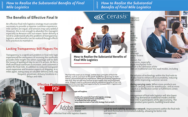 Download How to Realize the Substantial Benefits of Final Mile Logistics