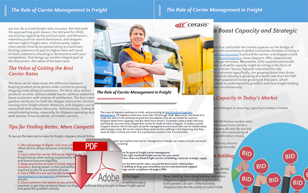 Download The Role of Carrier Management in Freight