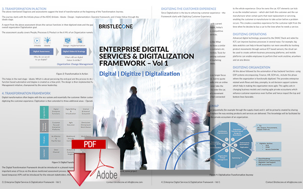 Download Enterprise Digital Services & Digitalization Framework
