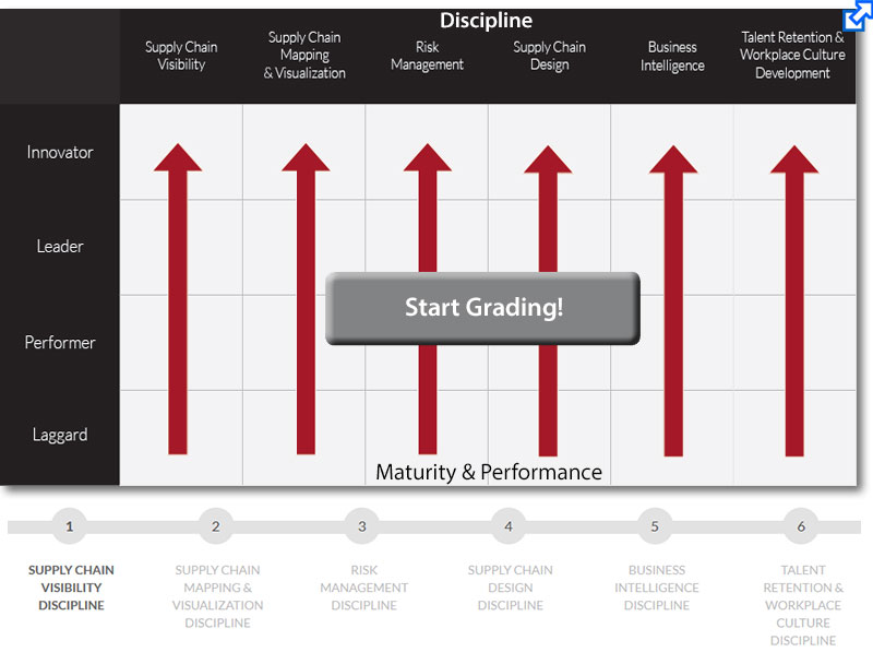Got to The Maturity Model and The Supply Chain Performance Grader: Instant View