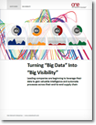 Download the Paper: Turning “Big Data” Into “Big Visibility”