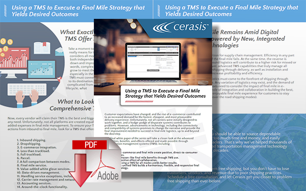 Download Using a Transportation Management System to Execute a Final Mile Strategy