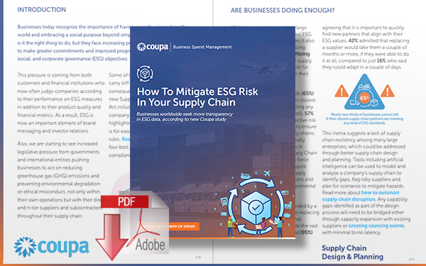 Download How to Mitigate ESG Risk in Your Supply Chain