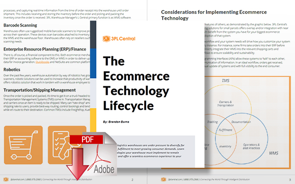 Download The Ecommerce Technology Lifecycle Report