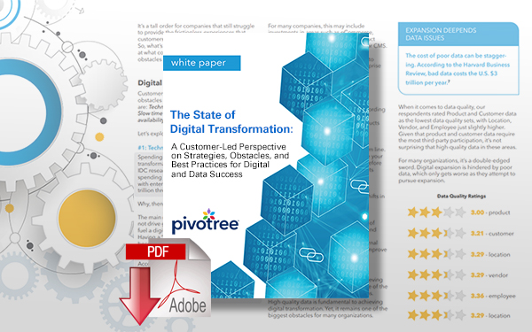 Download The State of Digital Transformation