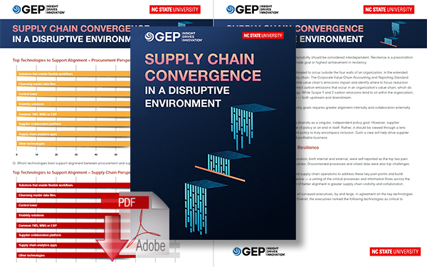Download Supply Chain Convergence in a Disruptive Environment