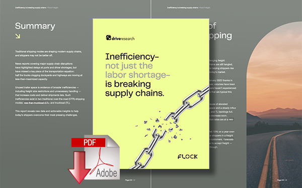 Download Inefficiency - Not Just the Labor Shortage - Is Breaking Supply Chains