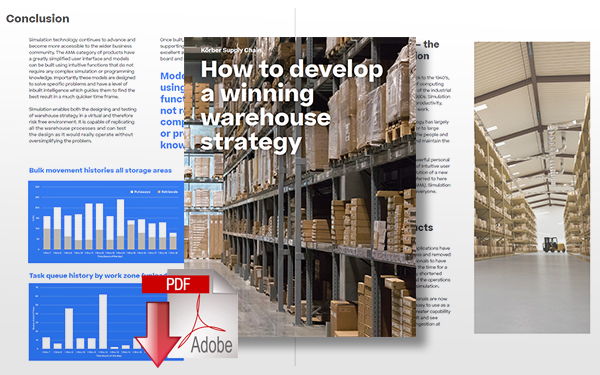 Download Developing a Winning Warehouse Strategy
